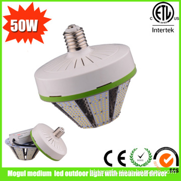 Mogul Medium LED Outdoor Light with Meanwell Driver (BBHYD-M50W8S)
